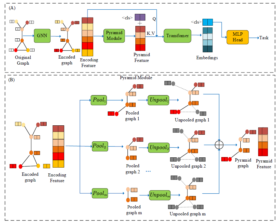 Graph Pyramid Pooling Transformer for Graph-level Representation Learning